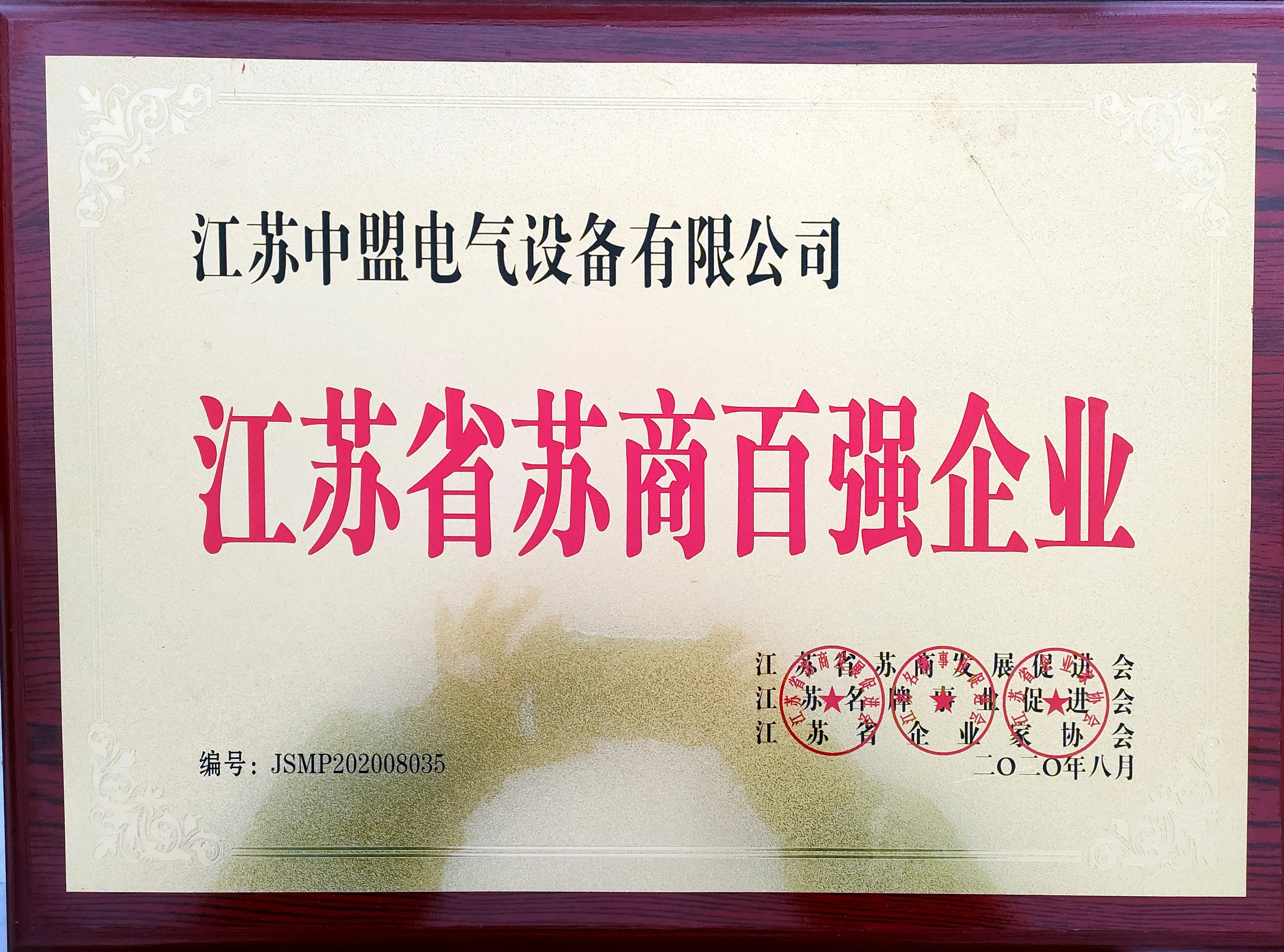 202008江苏省苏商百强企业